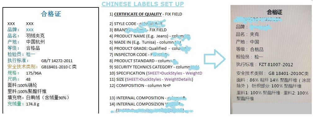 Chinese Labels Setup